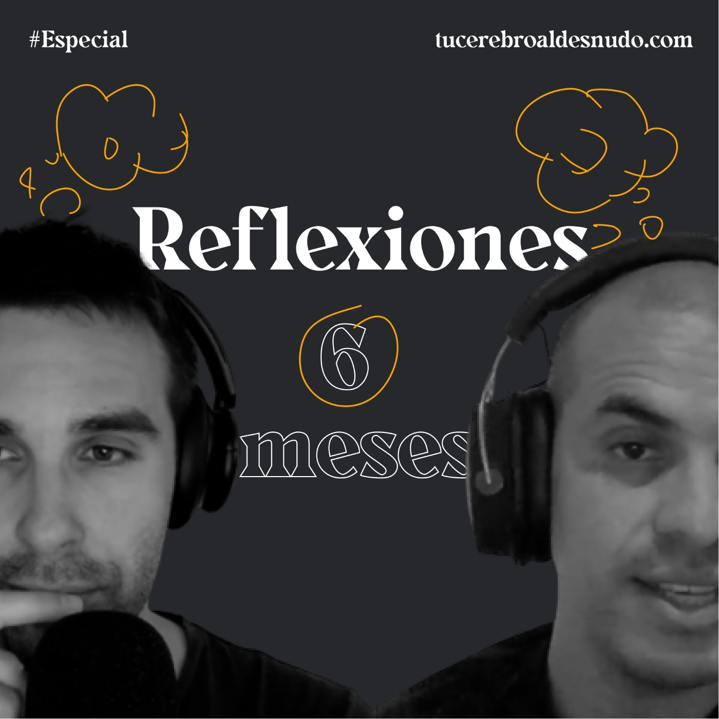 Especial: Reflexiones al Desnudo (6 meses) episode artwork