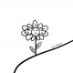 embed image