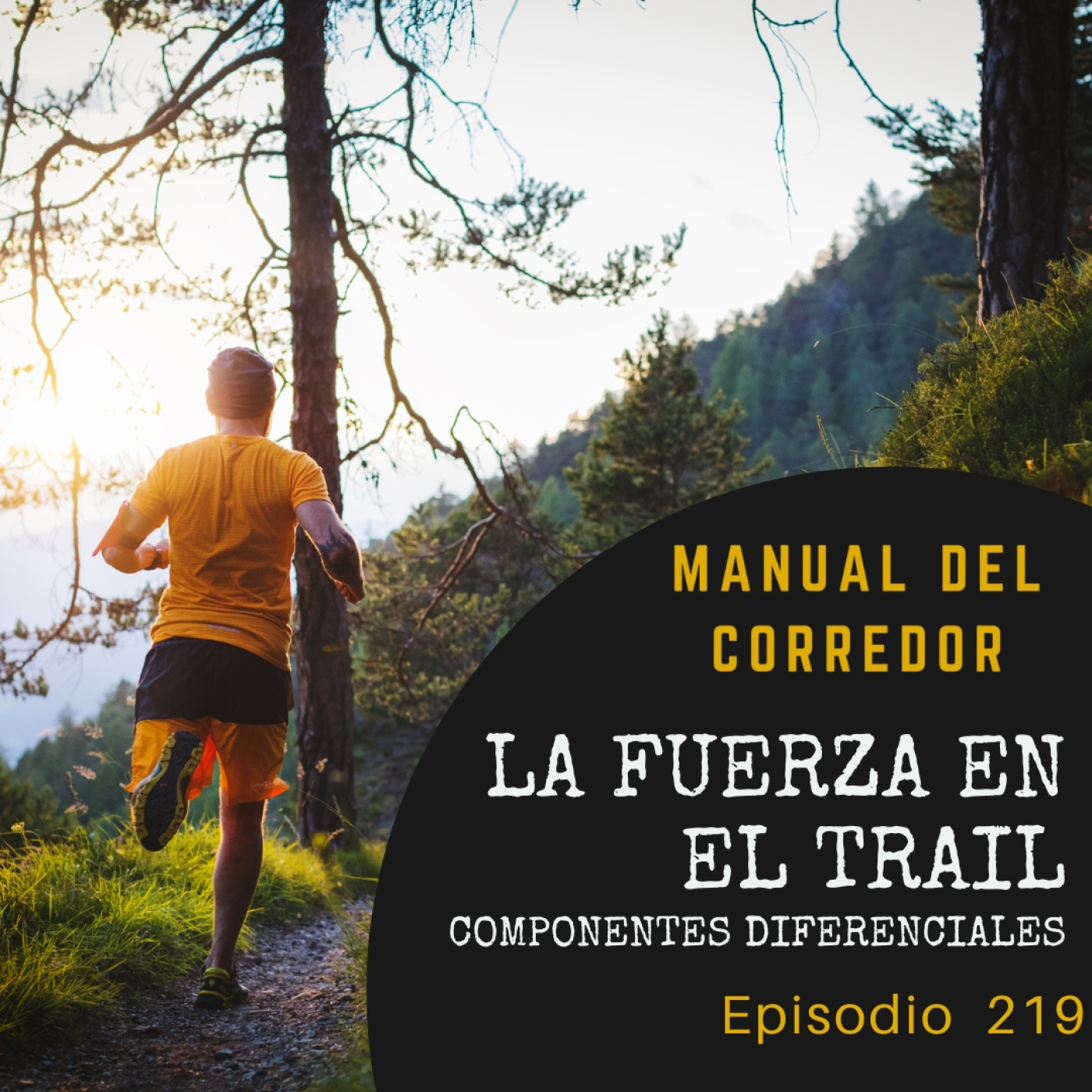 219. La fuerza en el trail. Componentes diferenciales