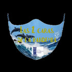 embed image