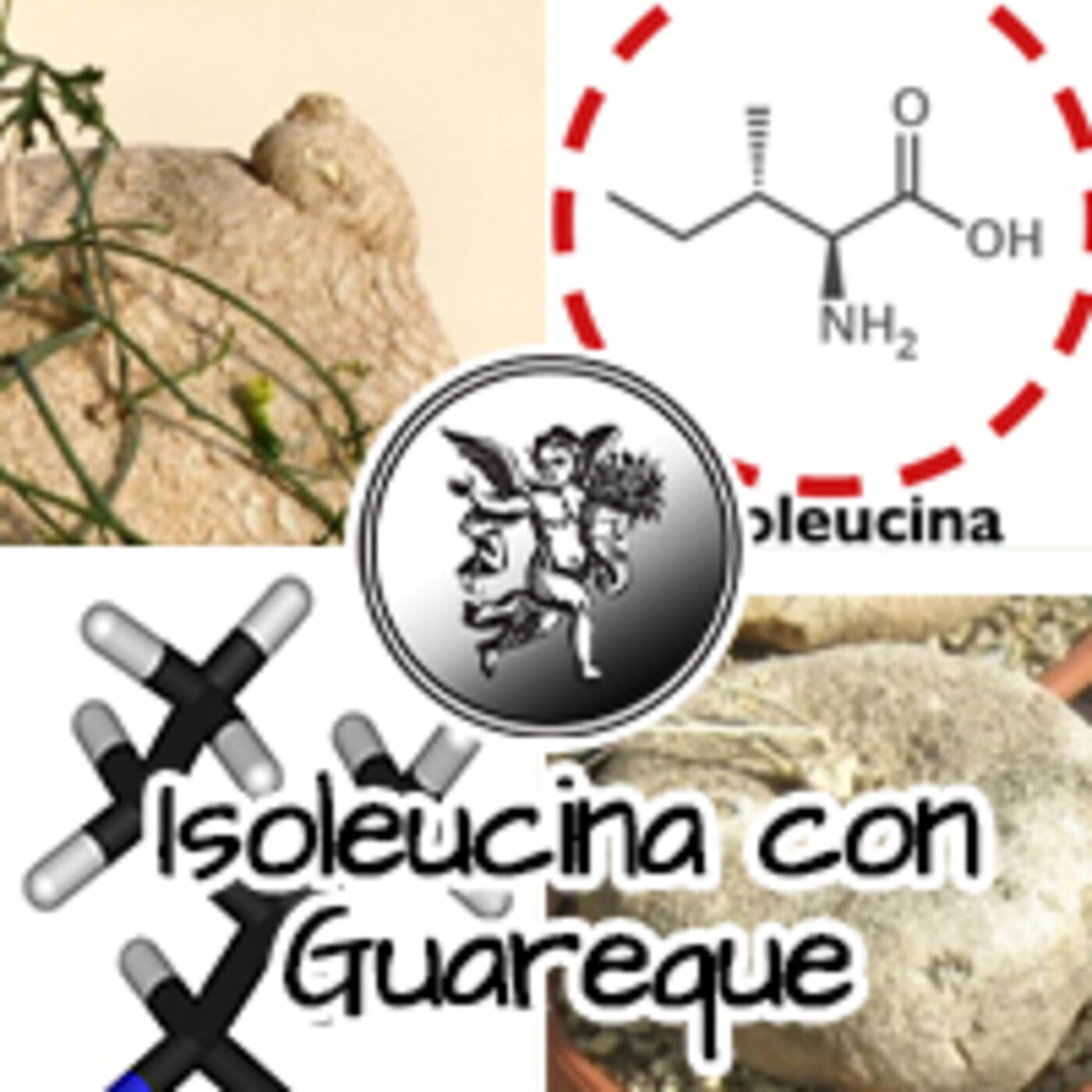 El Ángel de tu Salud - ISOLEUCINA CON GUAREQUE **** episode artwork