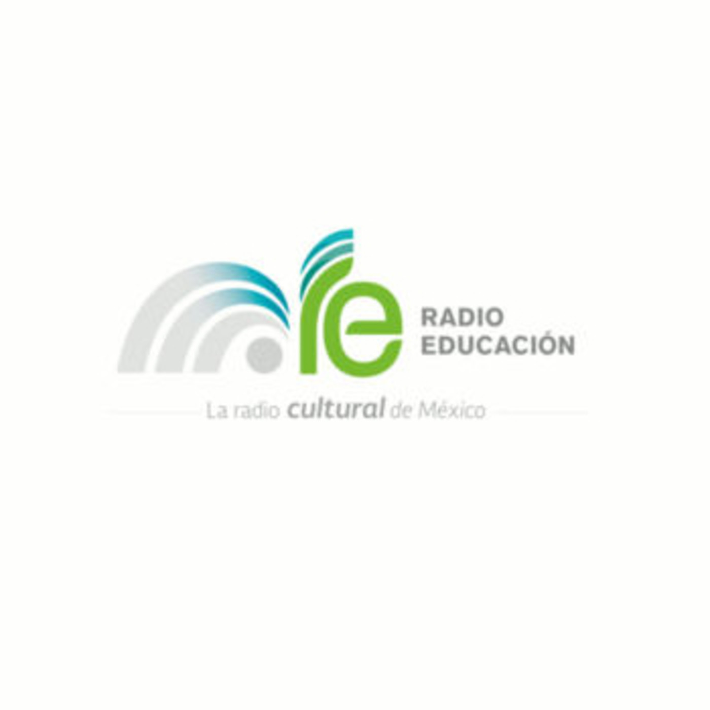 Noticiarios Pulso