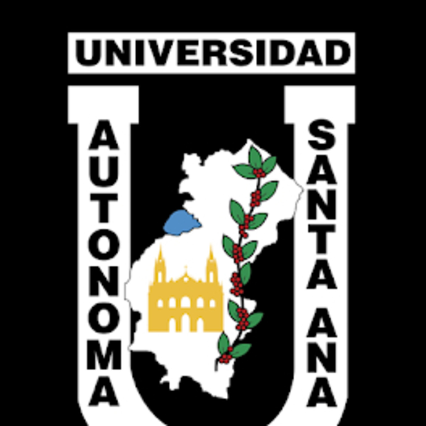 Diagnosticofisico UNASA
