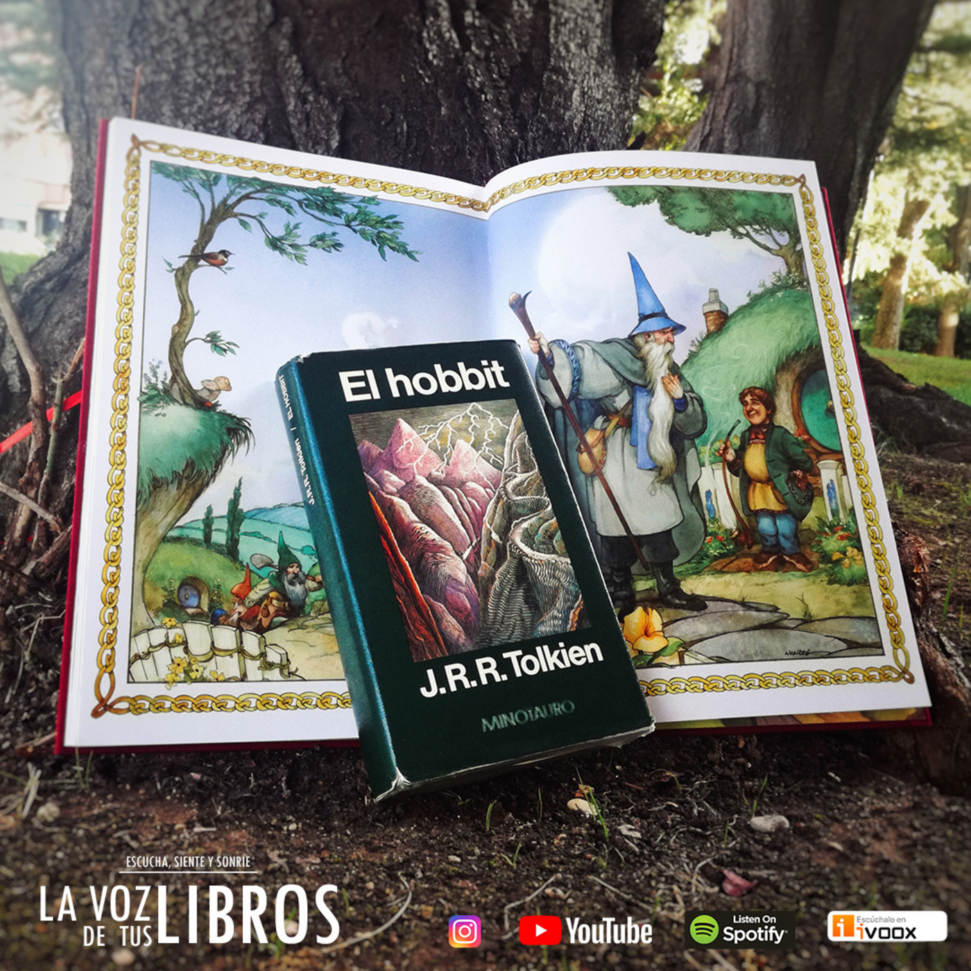 La Voz de tus Libros