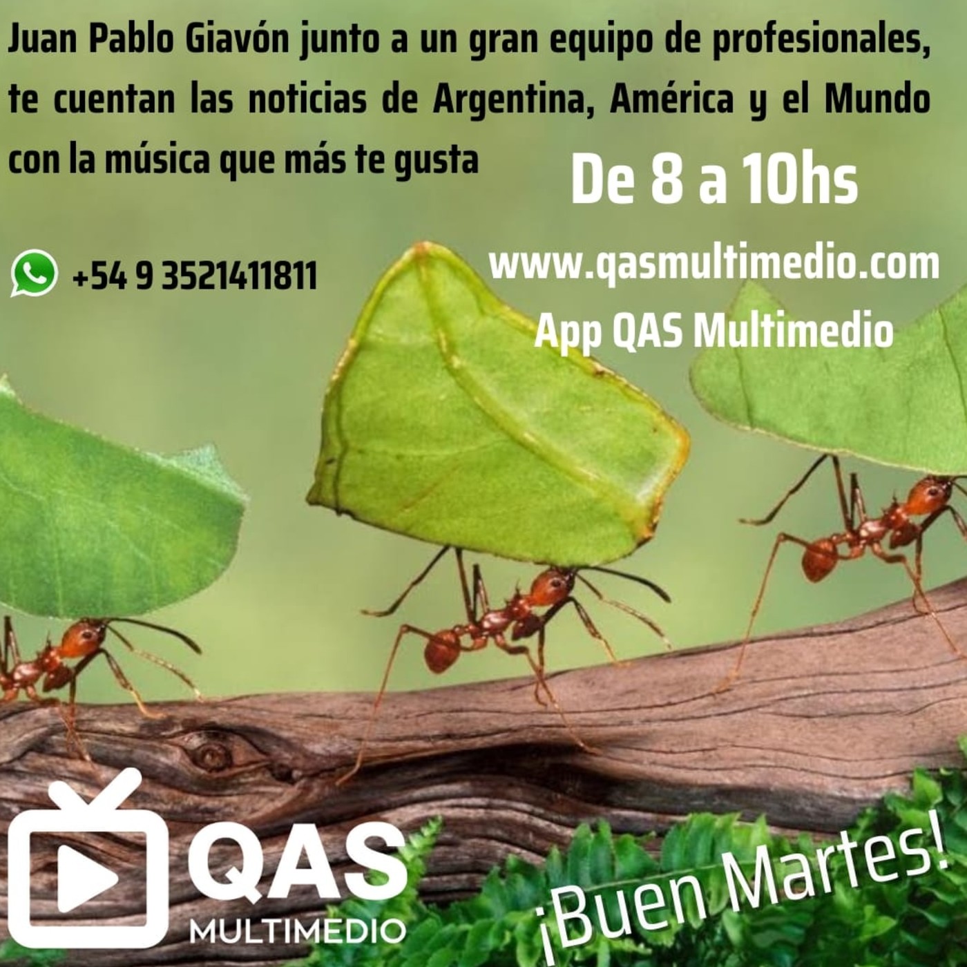 De 8 a 10