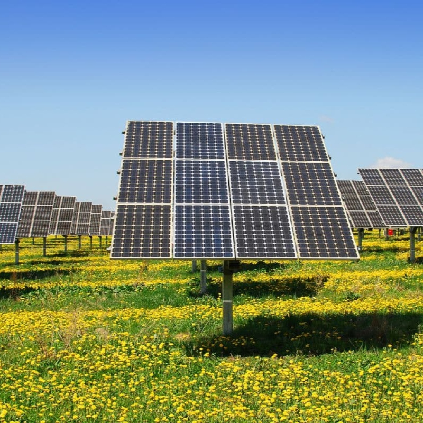 728e985b6092e5424ee701bf8b9f560b XXL esRadio Baleares