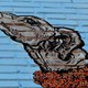 Arturo Rojo, artista y compañero