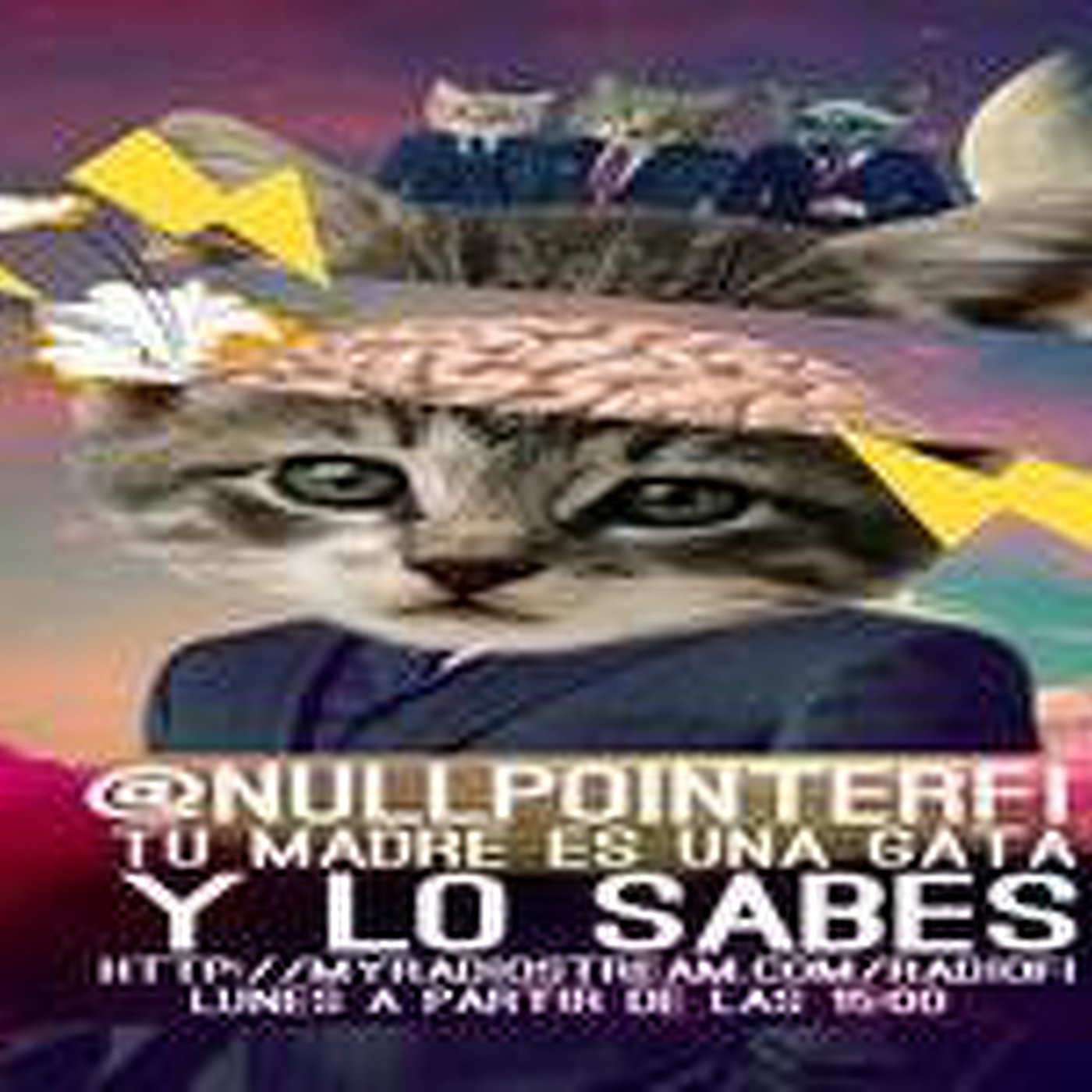NullPointerFI