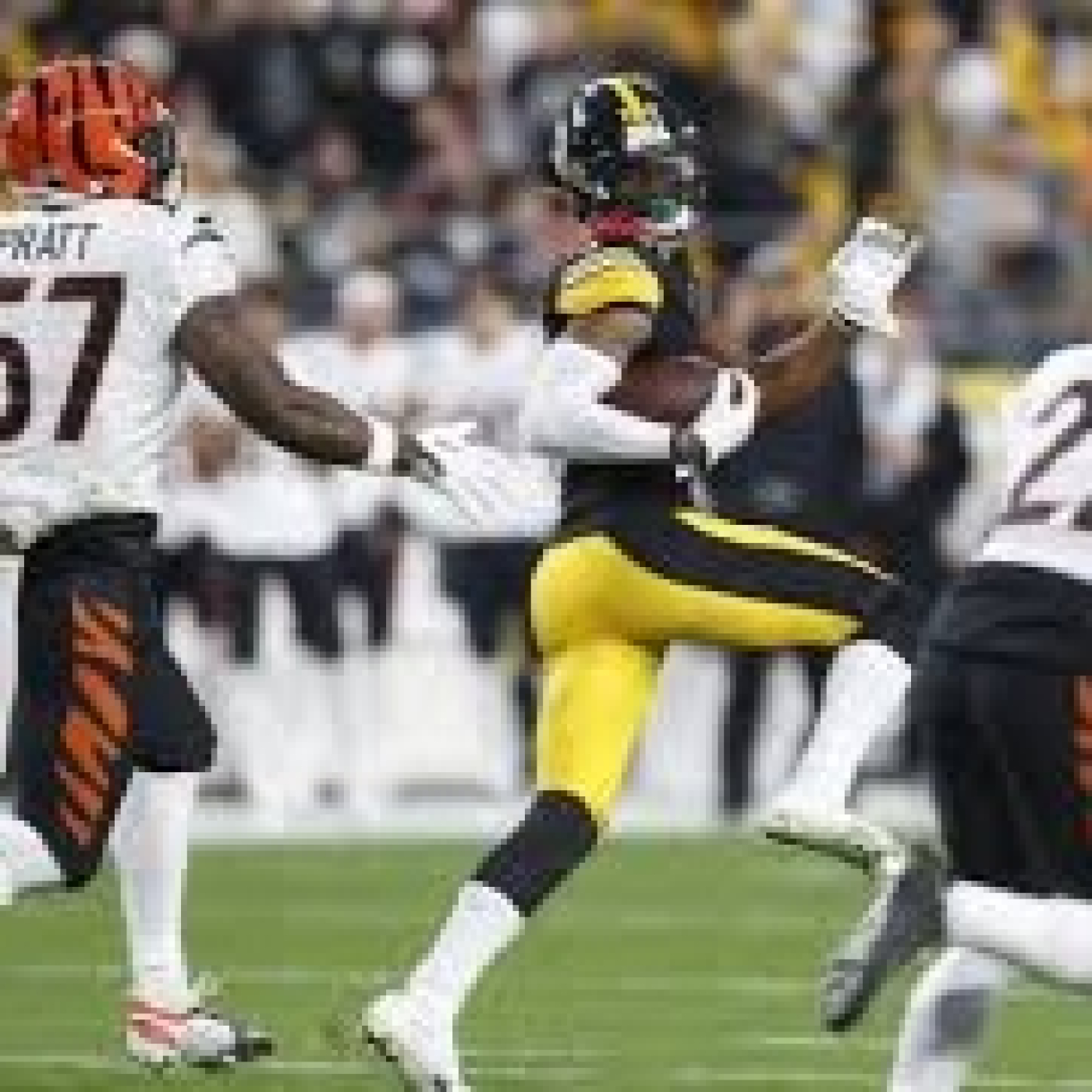 La Jungla Hispana - Bengals.es