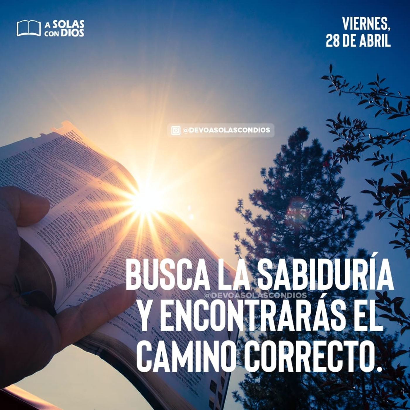 A Solas con Dios