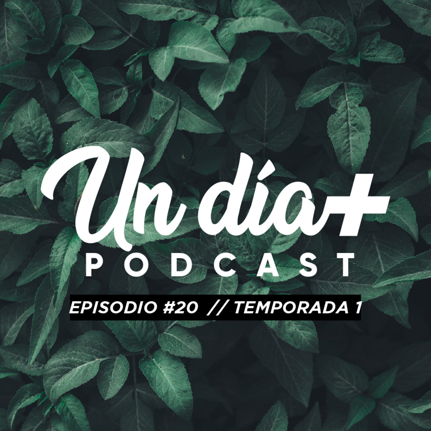 Cheo y Vivi Podcast