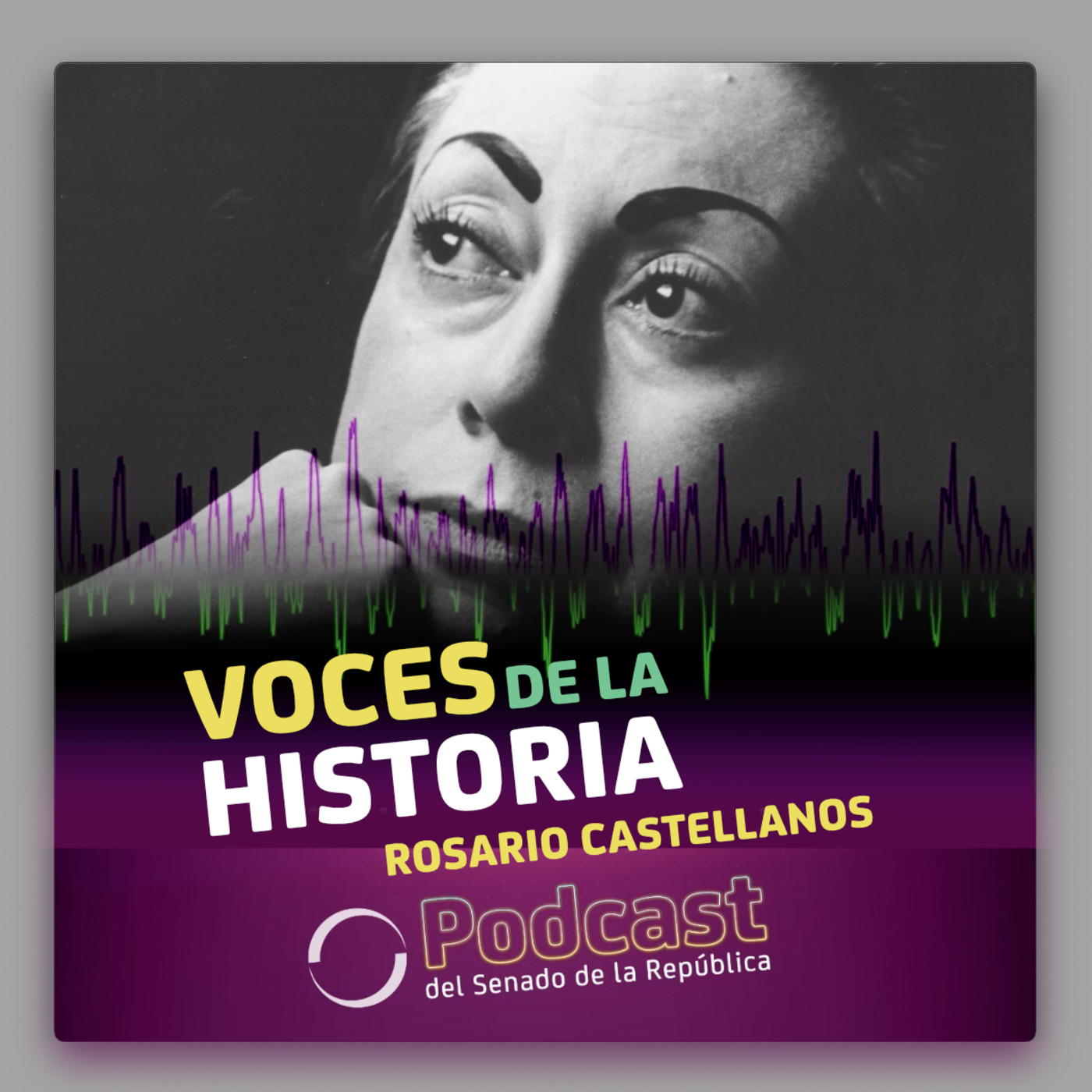 Platicamos con Rosario Castellanos sobre su vida e inspiración. episode artwork