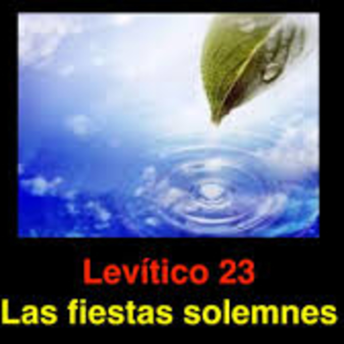 Enseñanza Para Grupo En Casa