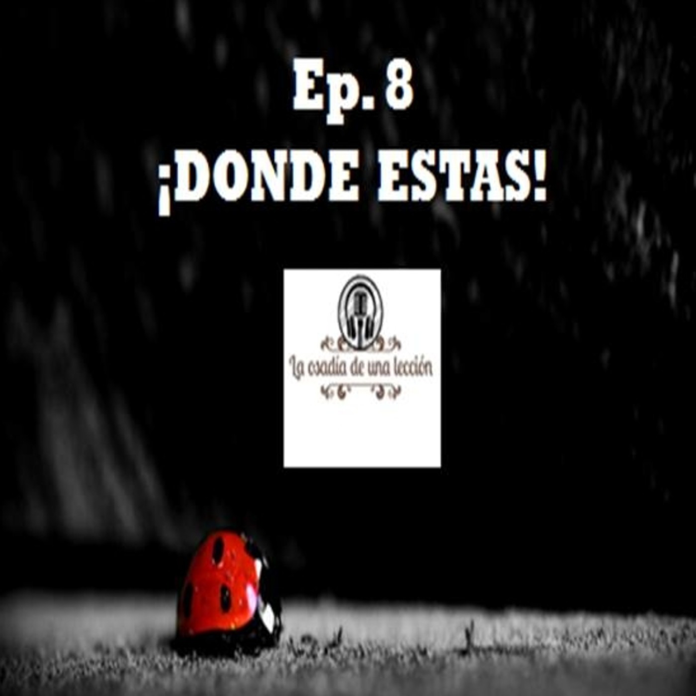 LA OSADIA DE UNA LECCION