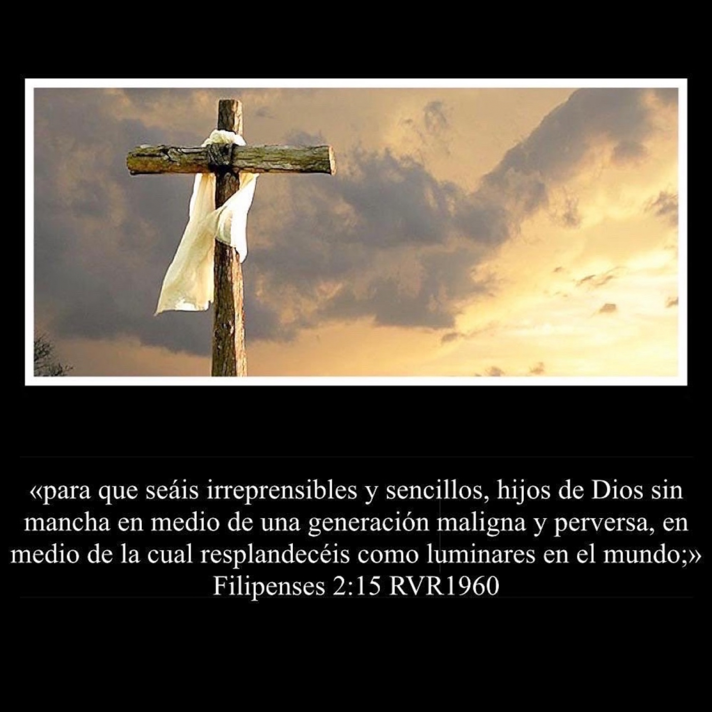 Reflexiones Cristianas