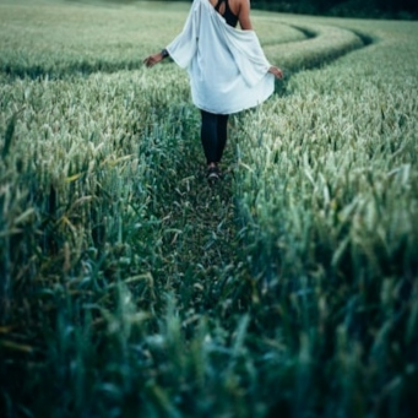 Poemas de amor para dedicar. Poemas para escuchar