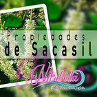 Nutribella - PROPIEDADES DEL SACASIL