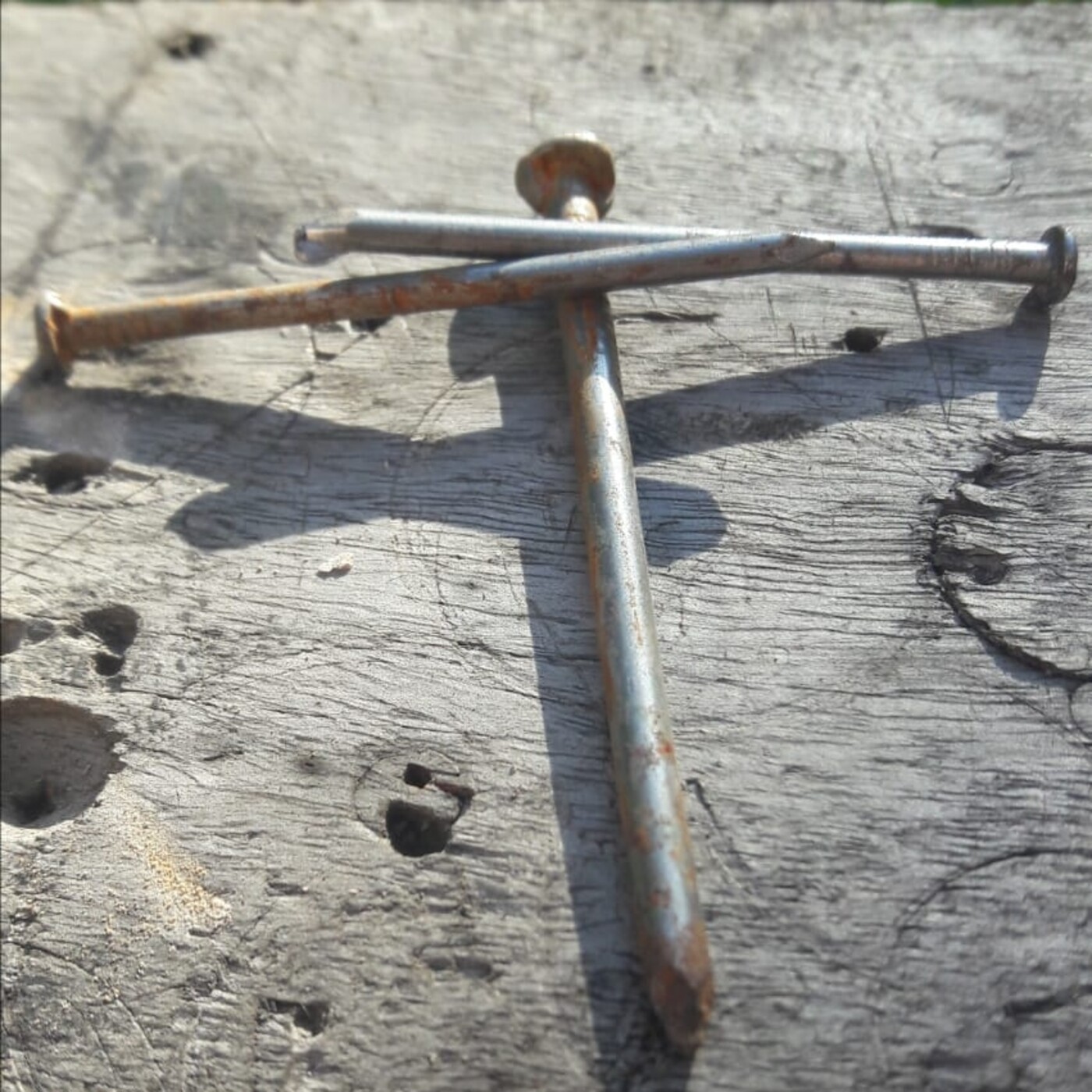 Primera Iglesia Bautista de Haedo