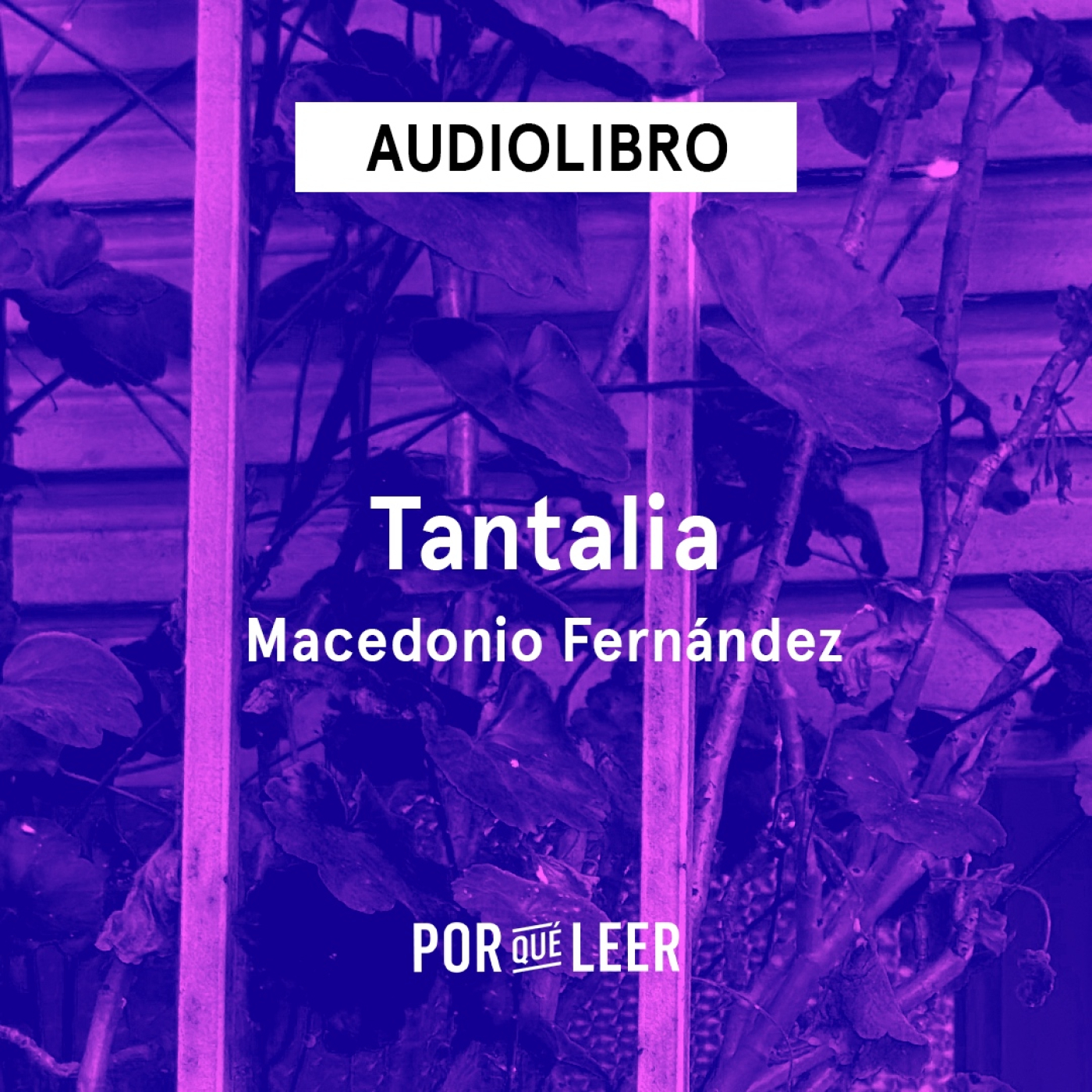 Audiolibros Por qué leer
