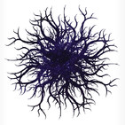 Alquimia 5.0_15-02-2019