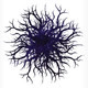 Alquimia 5.0_15-02-2019