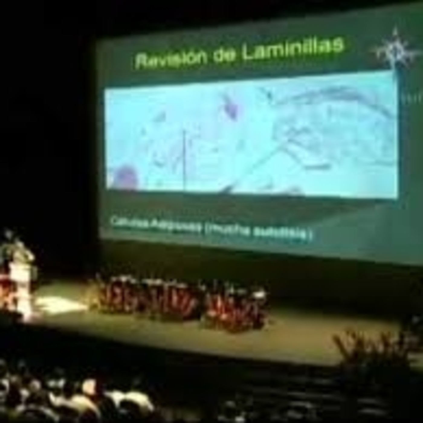 Eucaristía