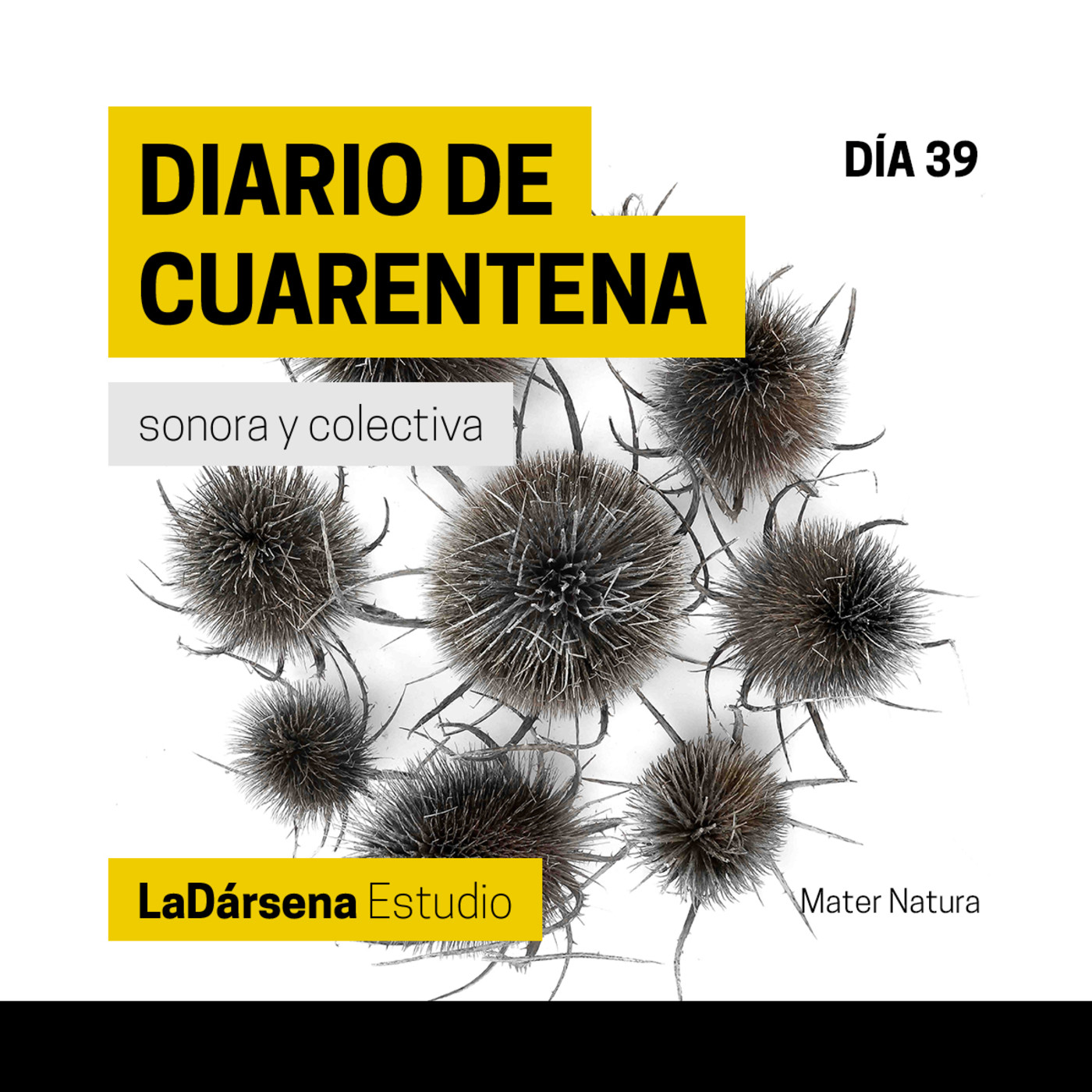 Diario de Cuarentena Sonora y Colectiva