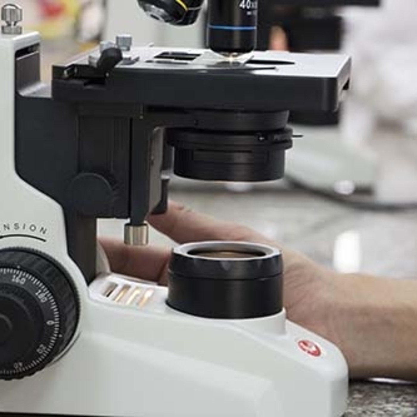 Ciencia en Movimiento