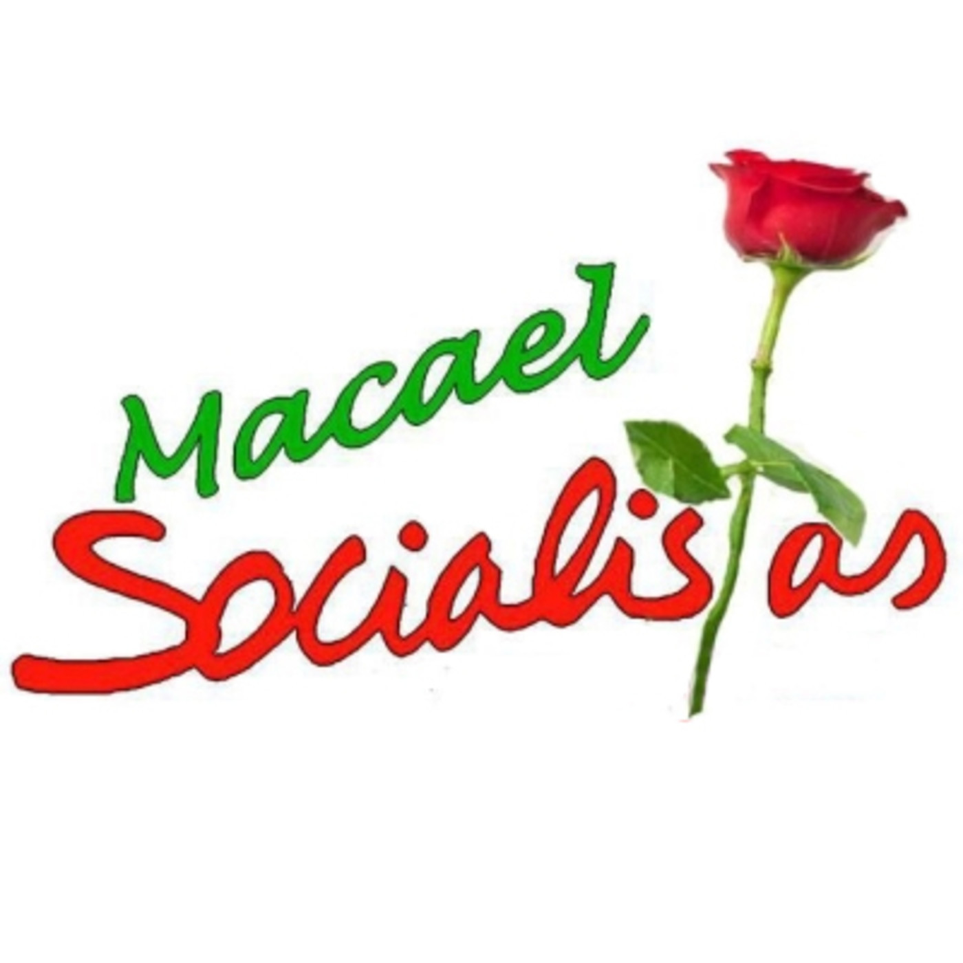 MACAEL PSOE