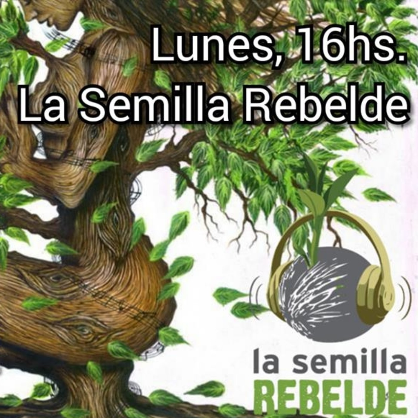 ¡#Enganchate con #LaSemillaRebelde! 12.8.19 episode artwork