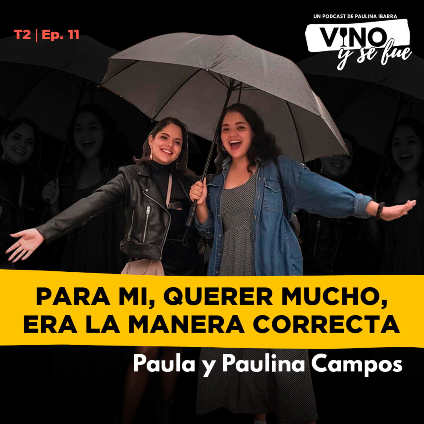 Vino y se fue