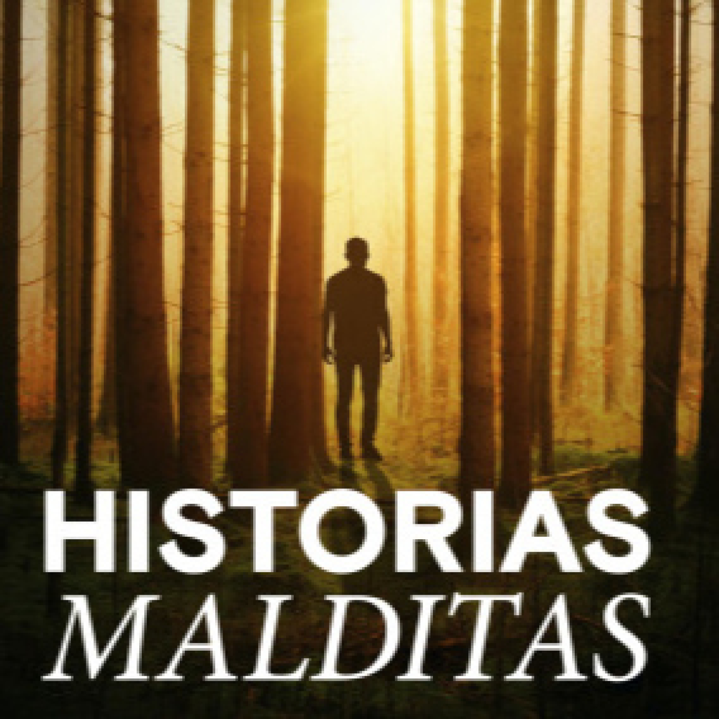 Historias malditas T2: El hotel de horrores · La maldición de La Casa Blanca · La venganza de los Templarios