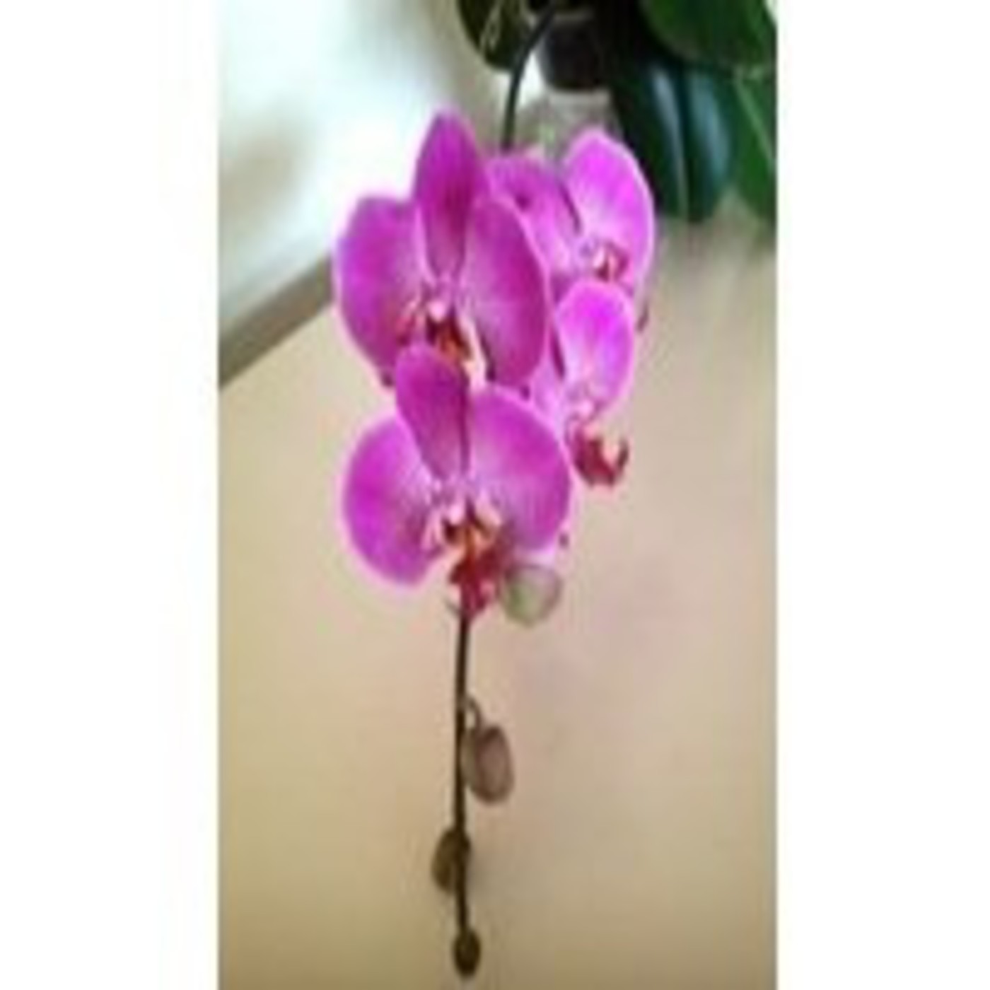 De conformarse (o no) - 07/03/14