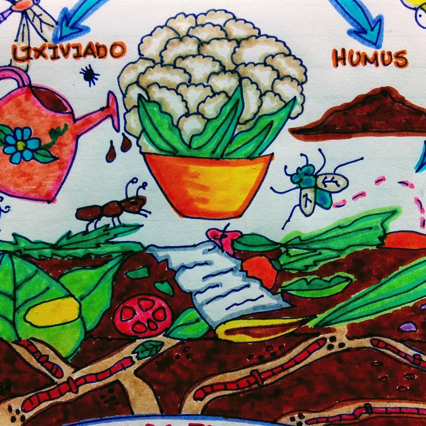 MUNDO RURAL COLOMBIA