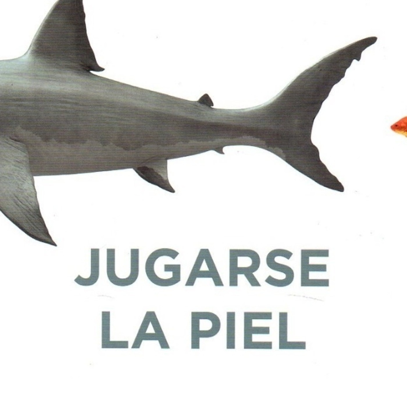Audio Resumenes