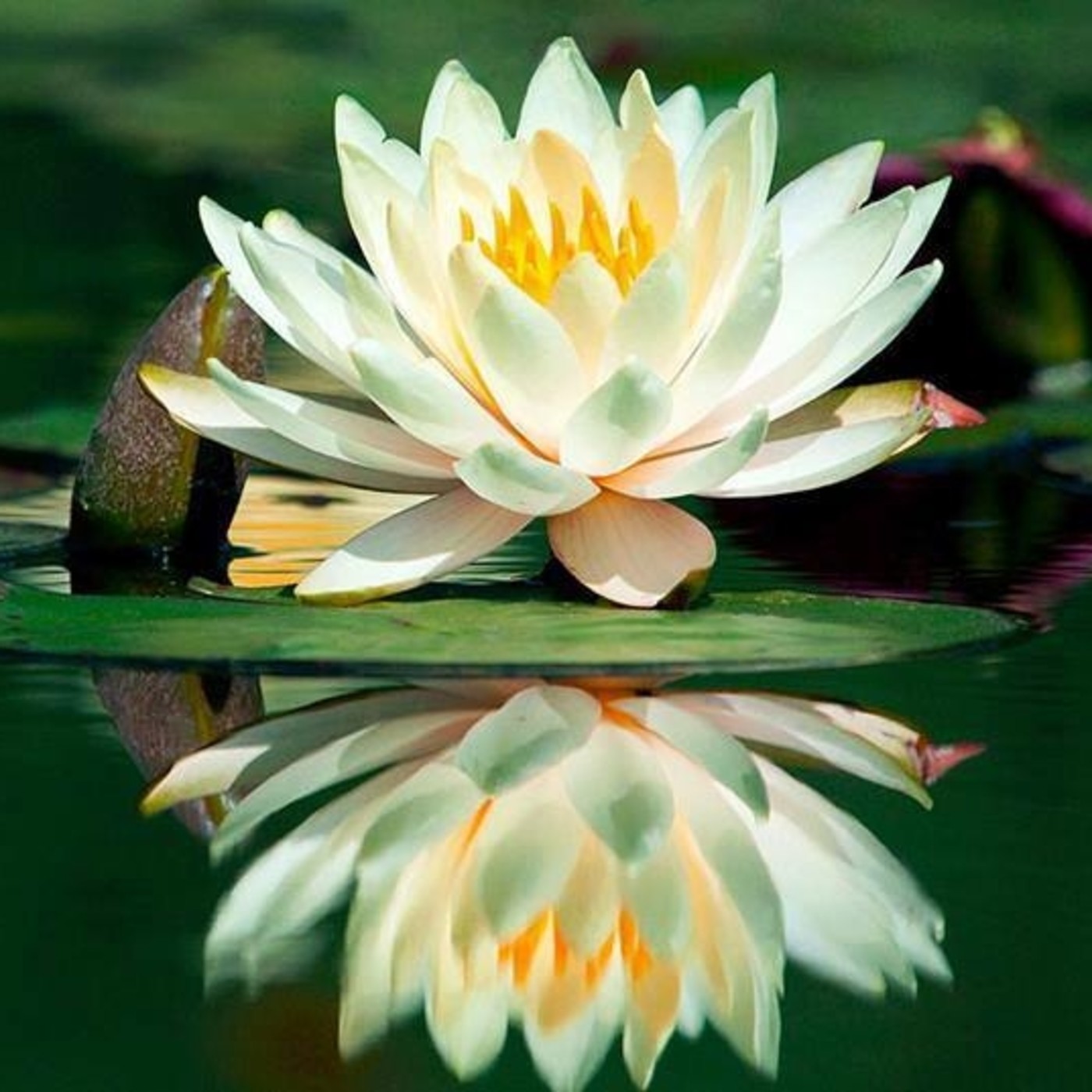 Brahma Kumaris Valencia