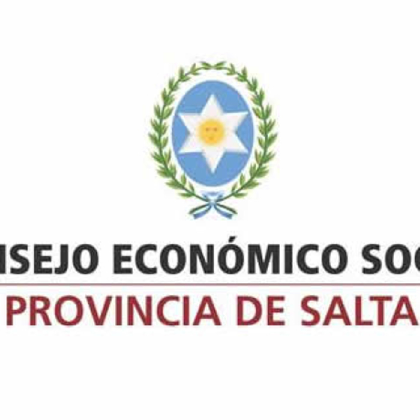 CESP Consejo Economico Social de Salta