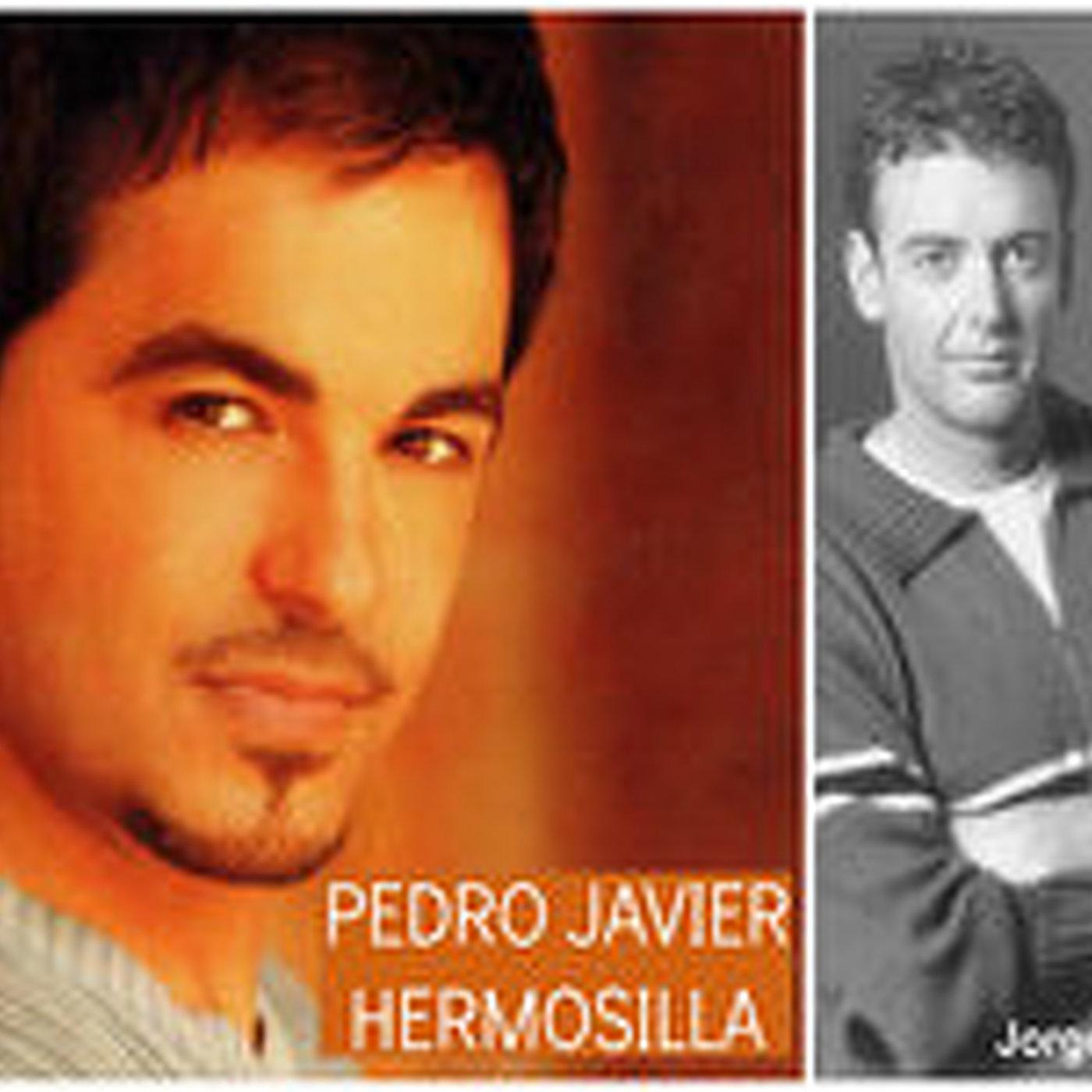 Entrevista a Pedro Javier Hermosilla episode artwork
