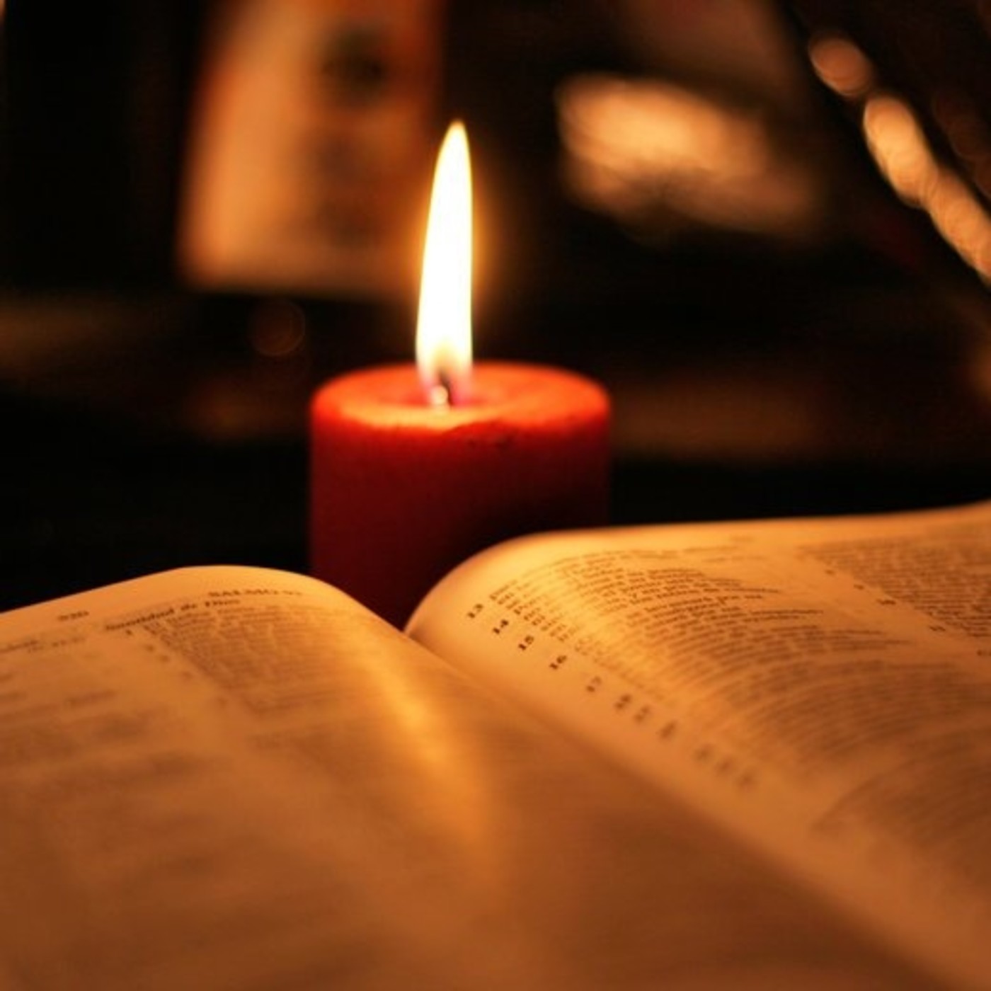 Catequesis: Evangelio del día - 2019