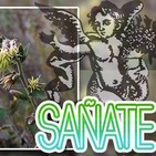 El Ángel de tu Salud - SAÑATE II