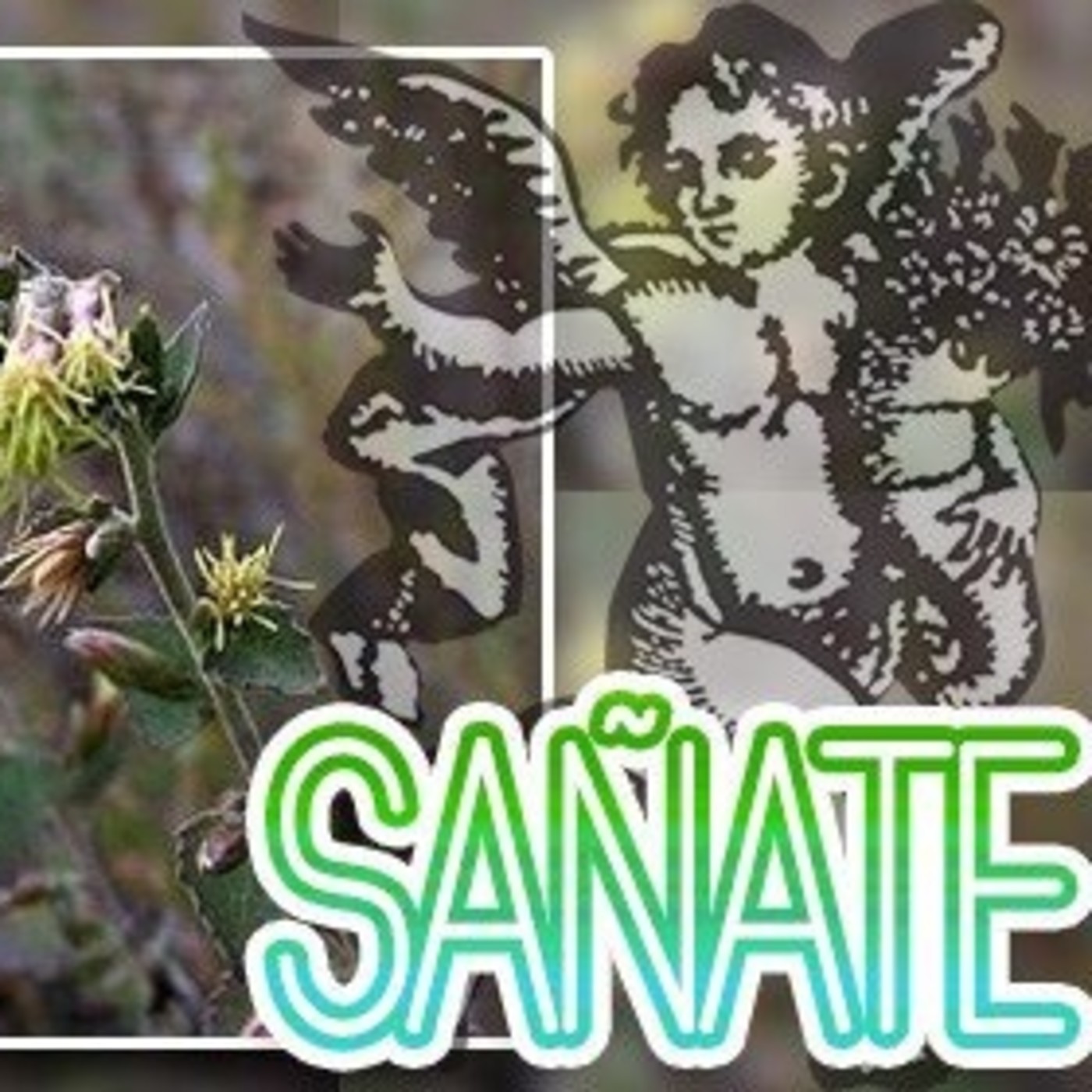 El Ángel de tu Salud - SAÑATE II episode artwork