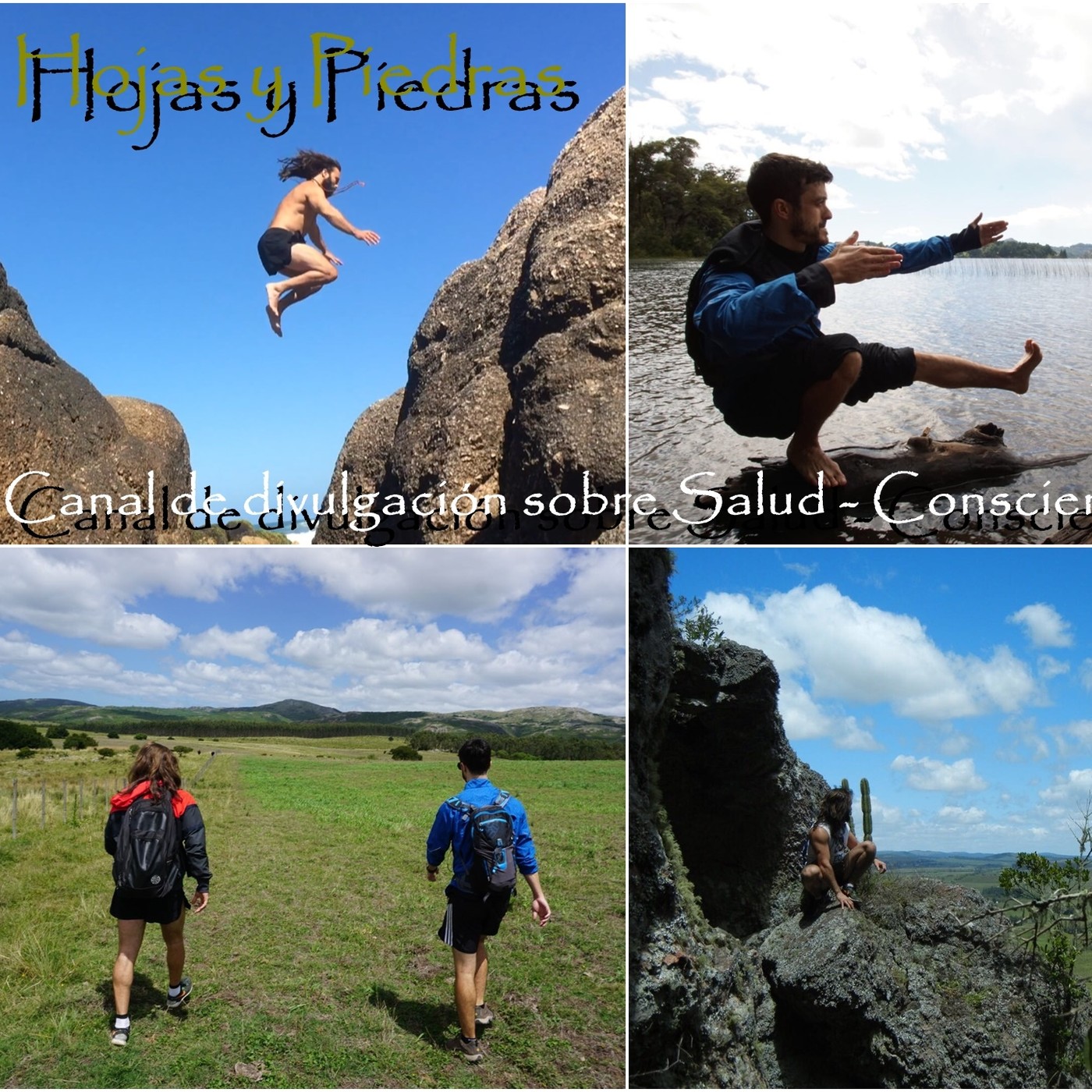 HOJASYPIEDRAS
