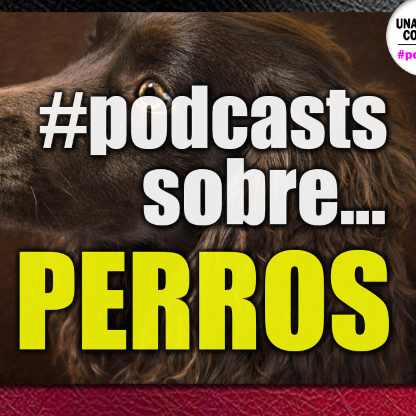Una Noche Contigo