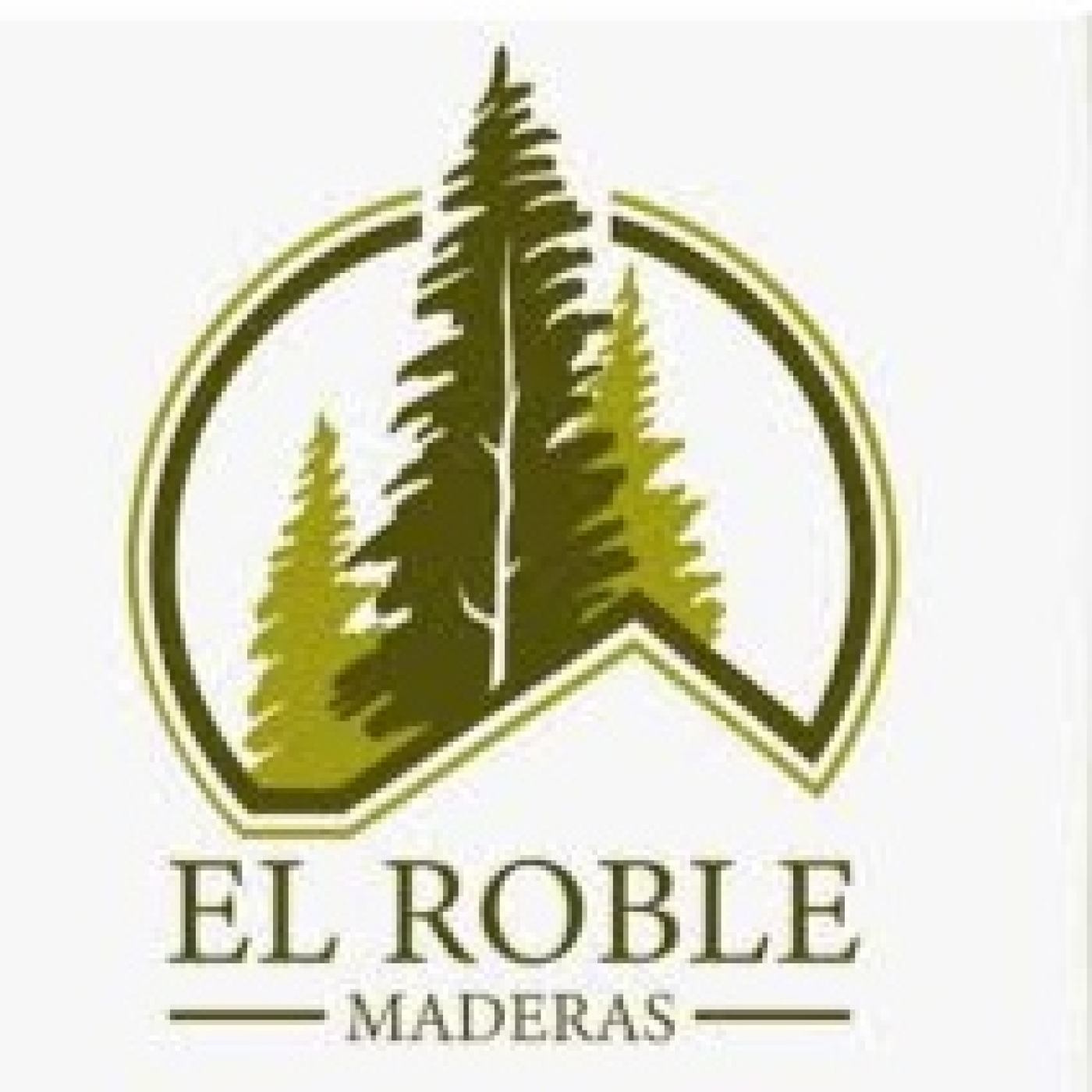 Catalina Campos de Maderas El Roble, emprendedora Curicana y sus diferentes packakings en madera.de pac episode artwork
