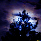 La noche azul; episodio 1x02.