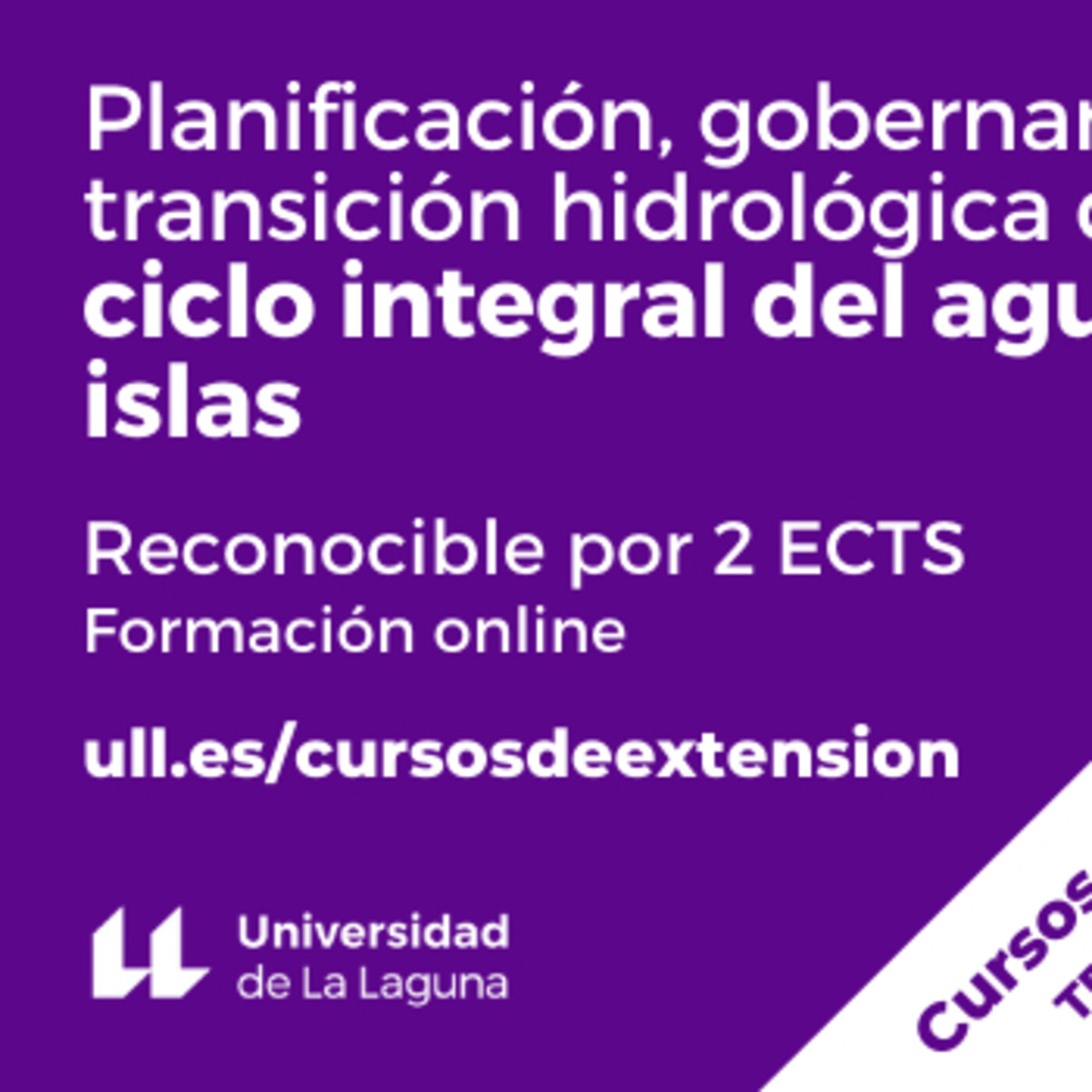 Cursos interdisciplinares y transdisciplinares