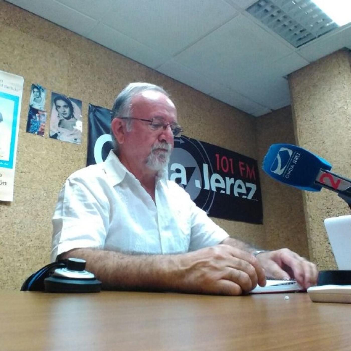 ALIMENTACION INSANA