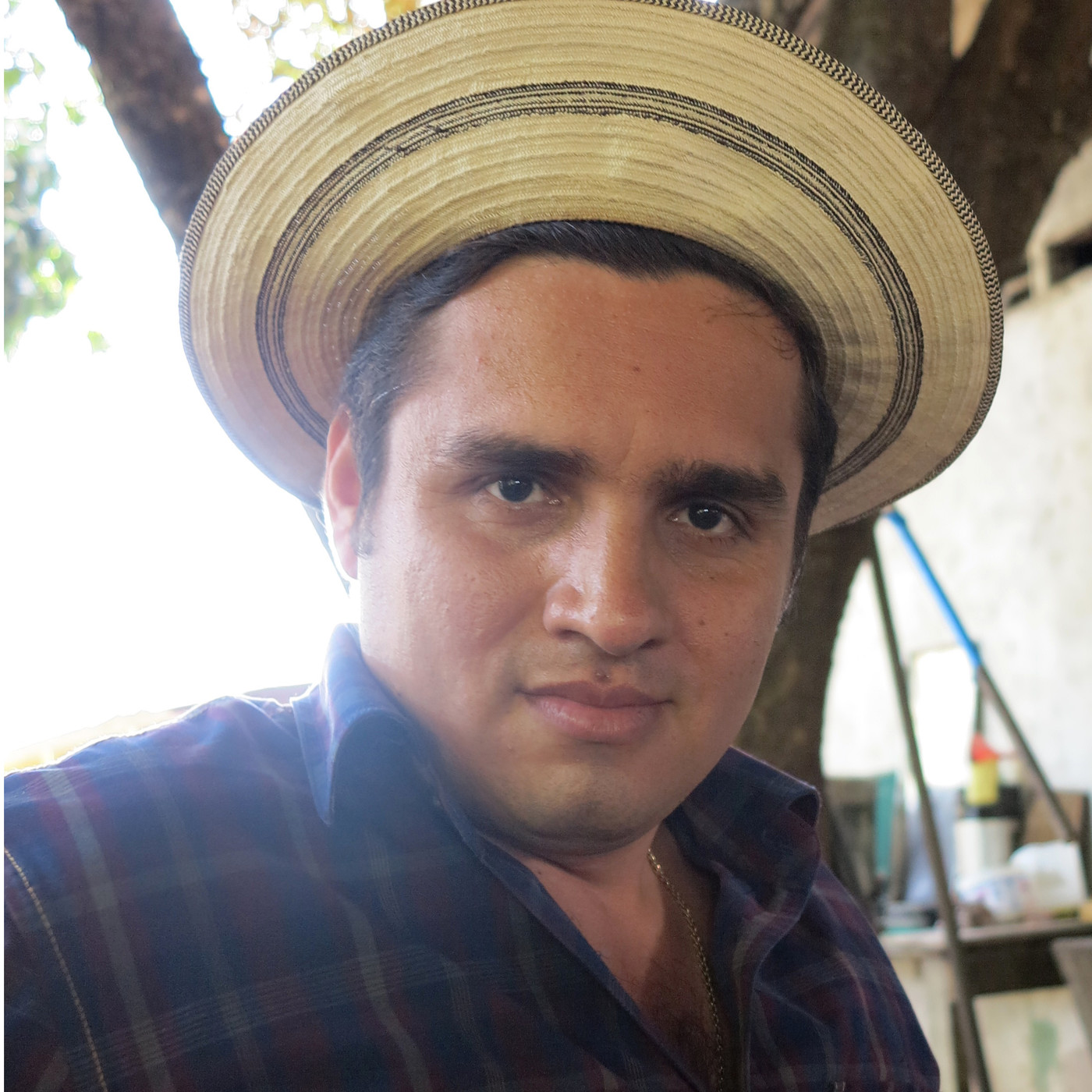 Trovadores y Juglares
