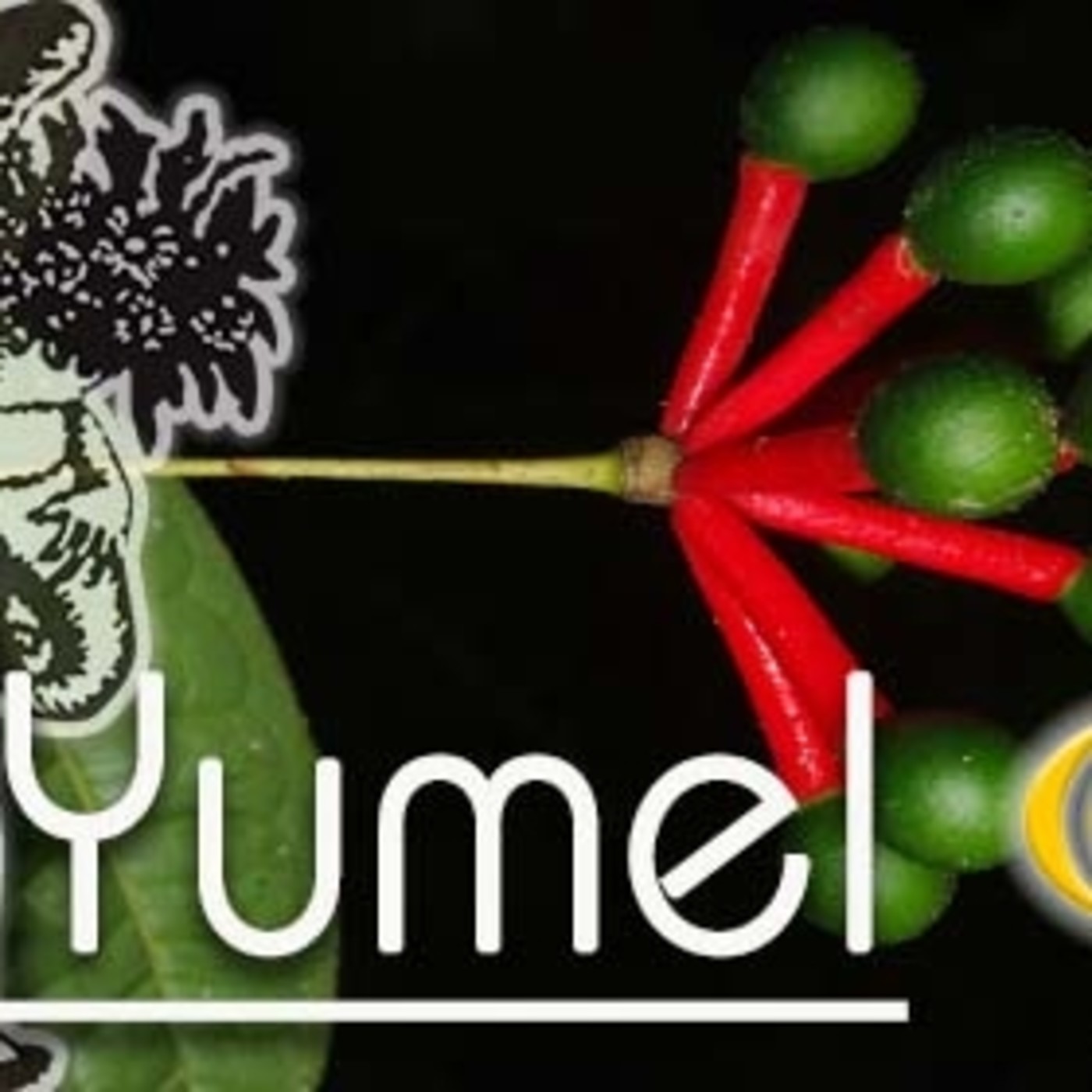 El Ángel de tu Salud - YUMEL episode artwork