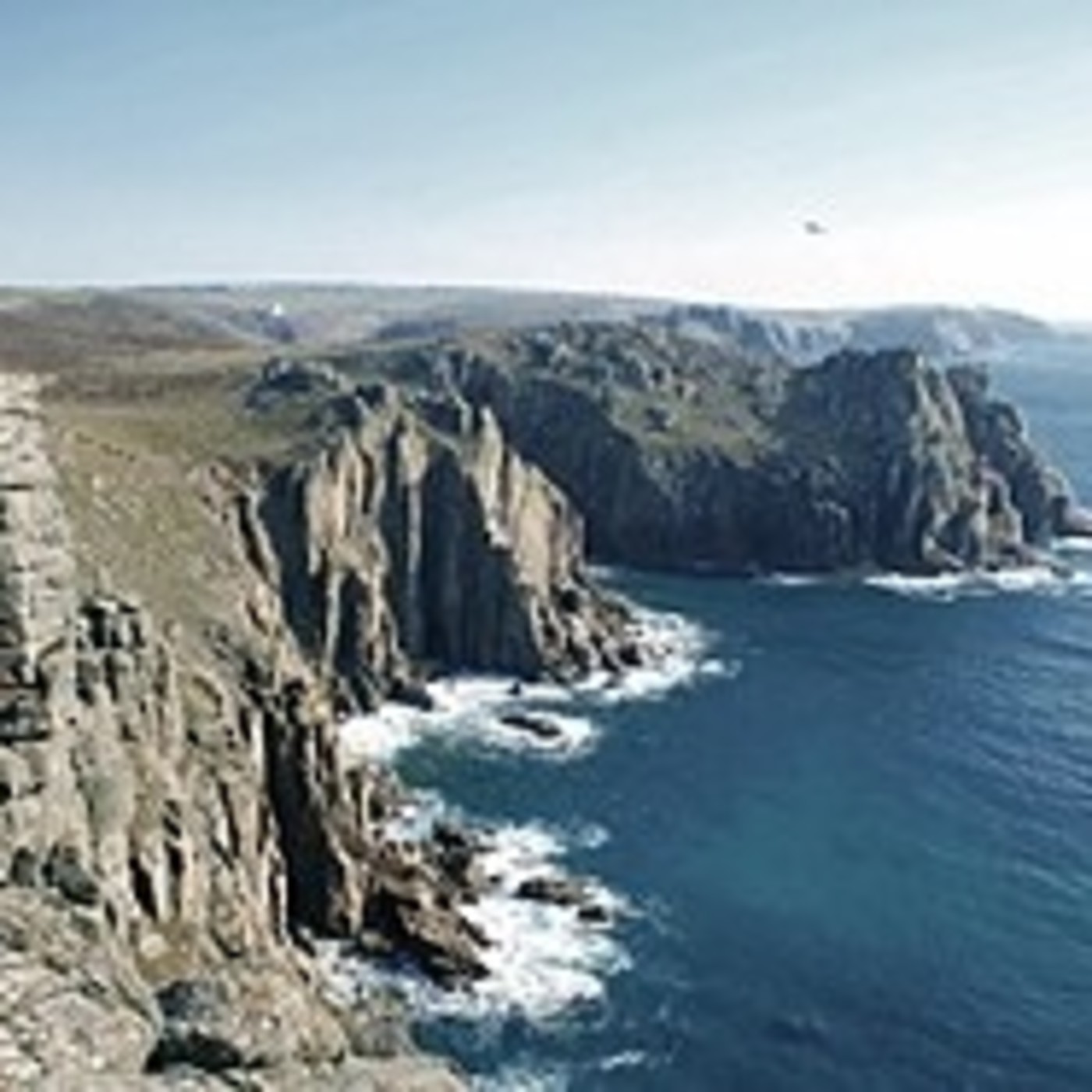 TRIBUTO A PETER CARTER